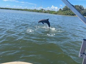 11Family dolphin and manatee boat tour near Port Canaveral Florida