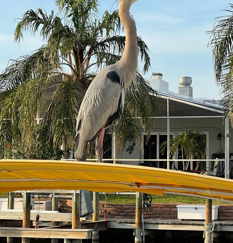 11photo 2023 03 07 17 16 23