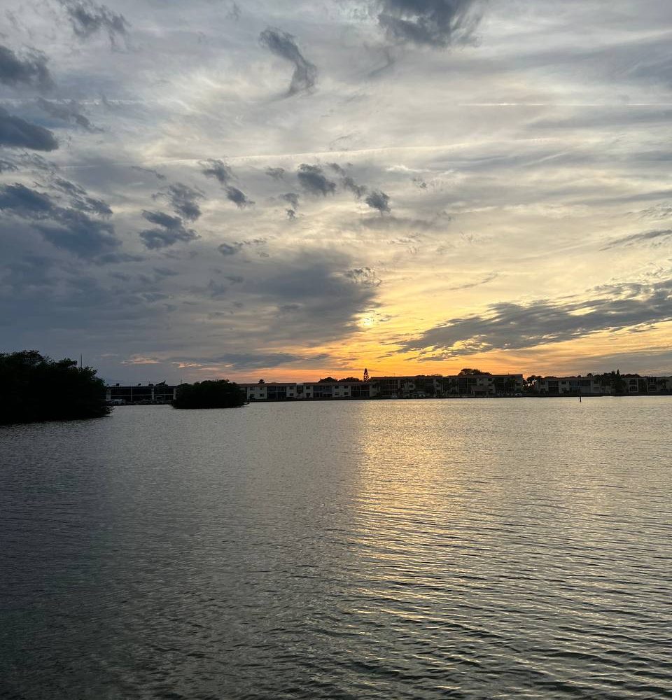 11photo 2023 03 07 17 16 53