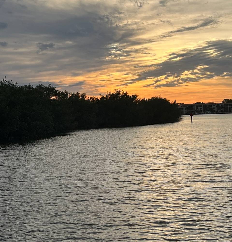 11photo 2023 03 07 17 19 18