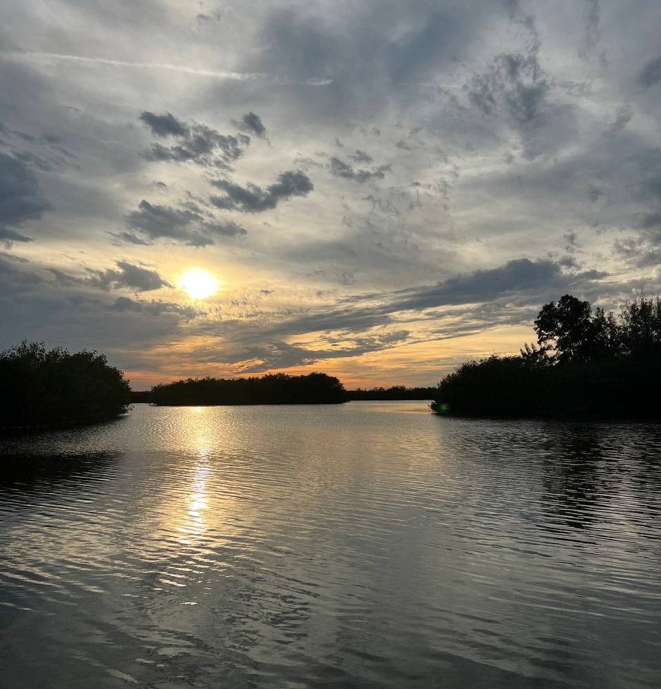 11photo 2023 03 07 17 19 52