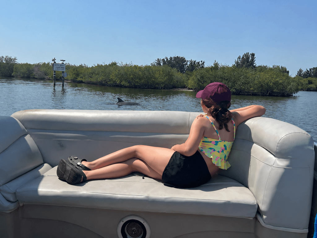 engoying a private boat tour with dolphins