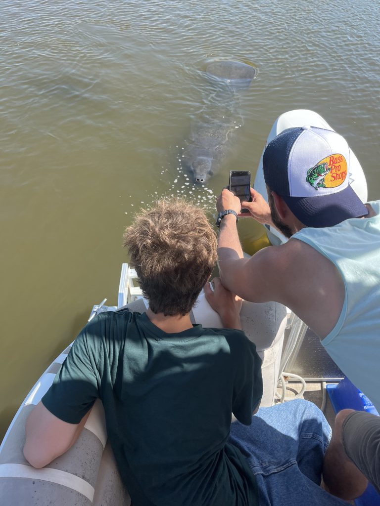 manatees on space coast