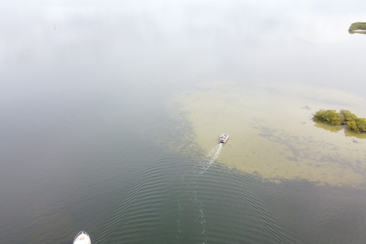 11dcim100mediadji 0575.jpg