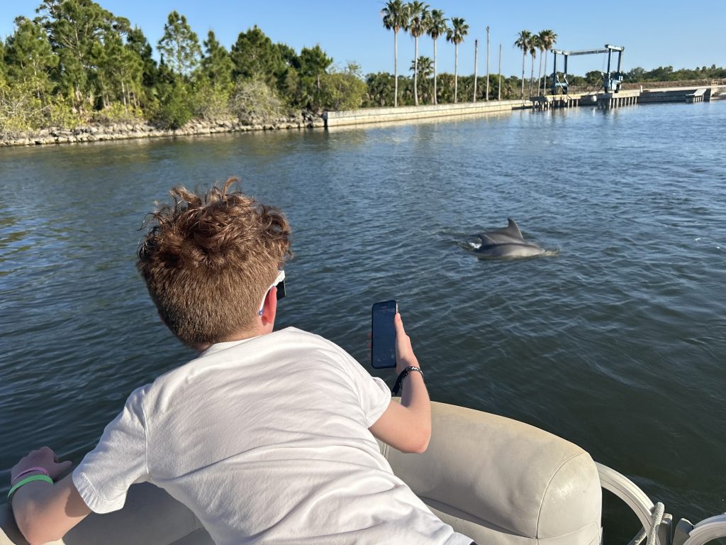 kids watching dolphins on a dolphin tour near cocoa beach area