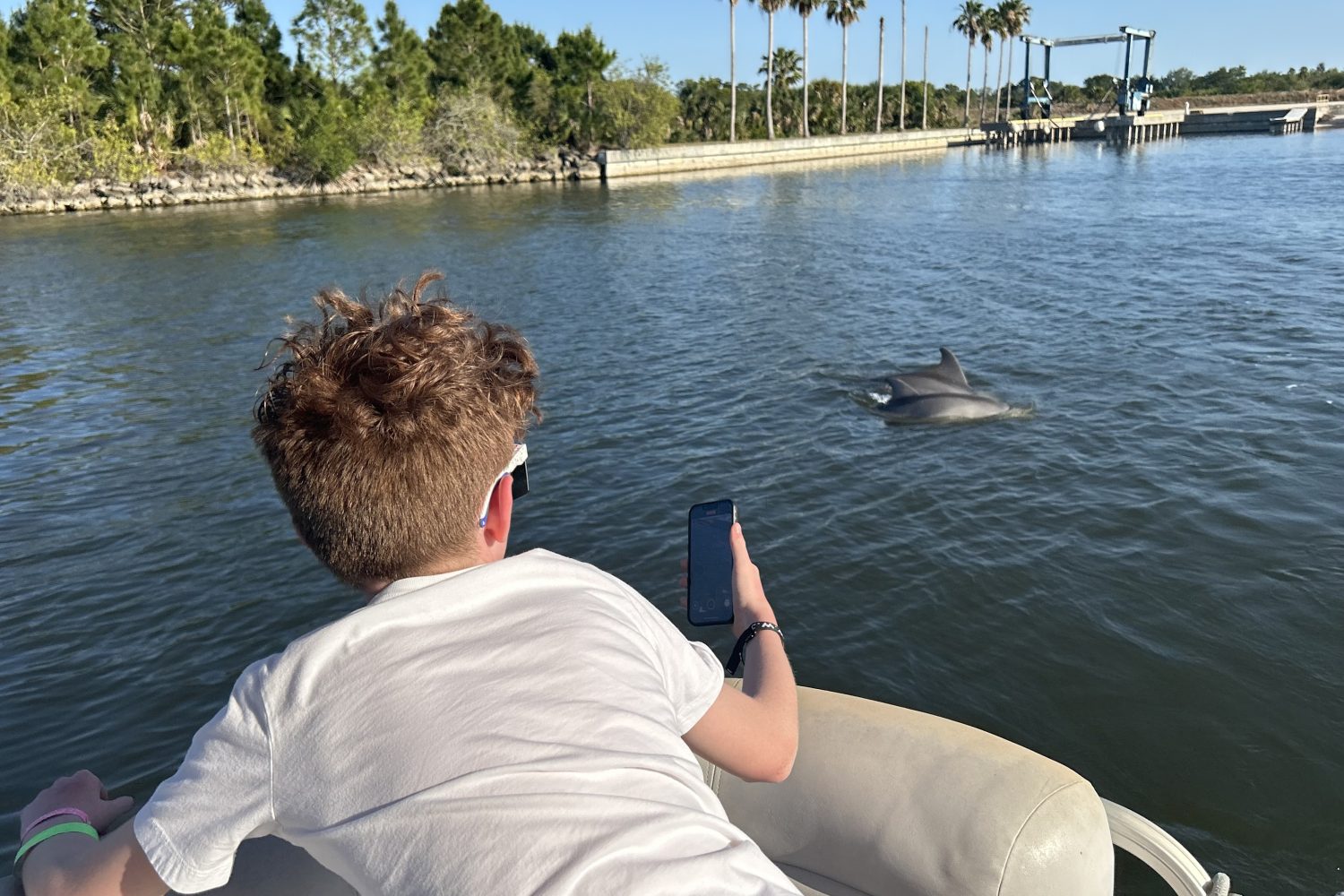 11kids watching dolphins on a private dolphin tour near cocoa beach area