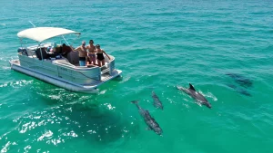 Dolphins swimming near boat in Cocoa Beach