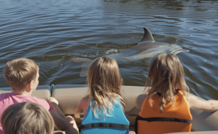 private cocoa beach dolphin tour wildlife encounter