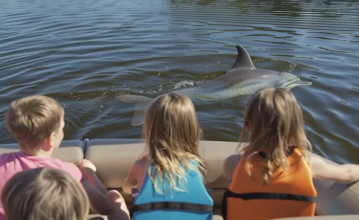 cocoa beach dolphin tour wildlife encounter near Orlando