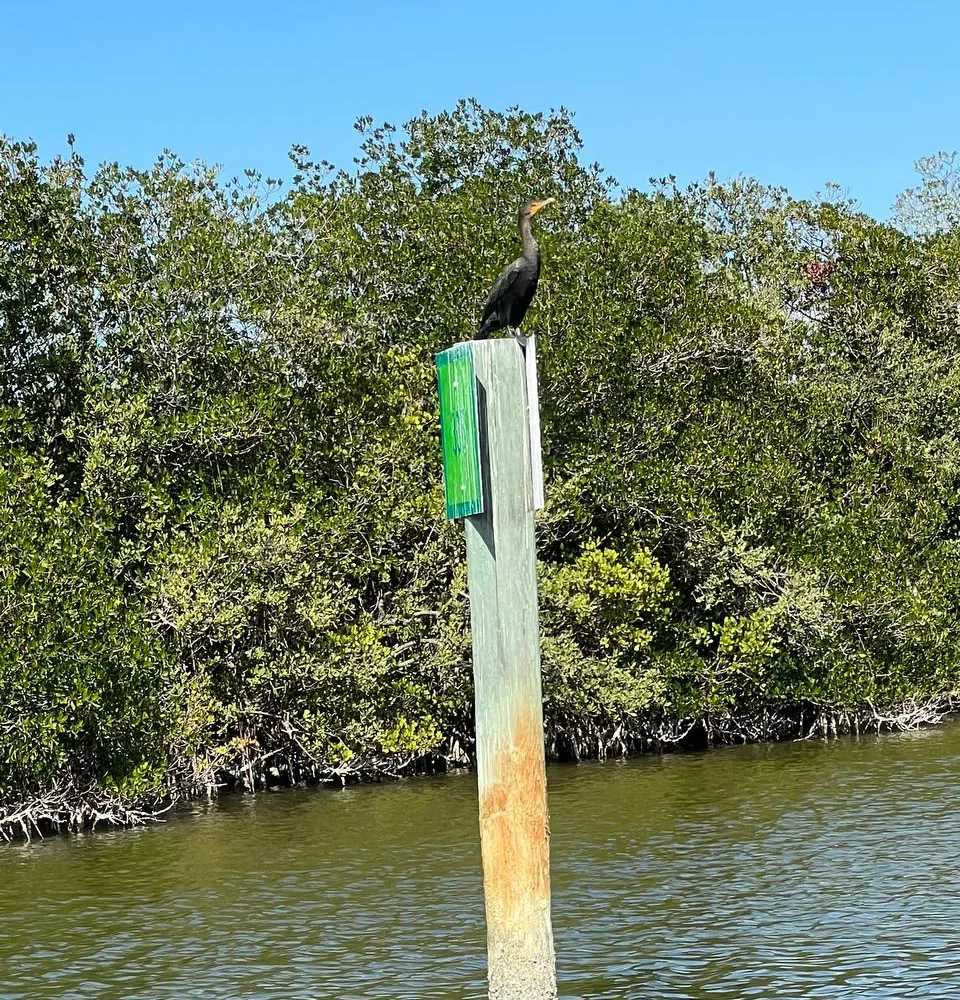 11photo 2023 03 07 17 11 40