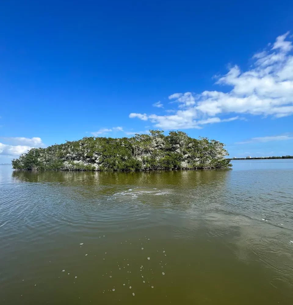 11photo 2023 03 07 17 13 40