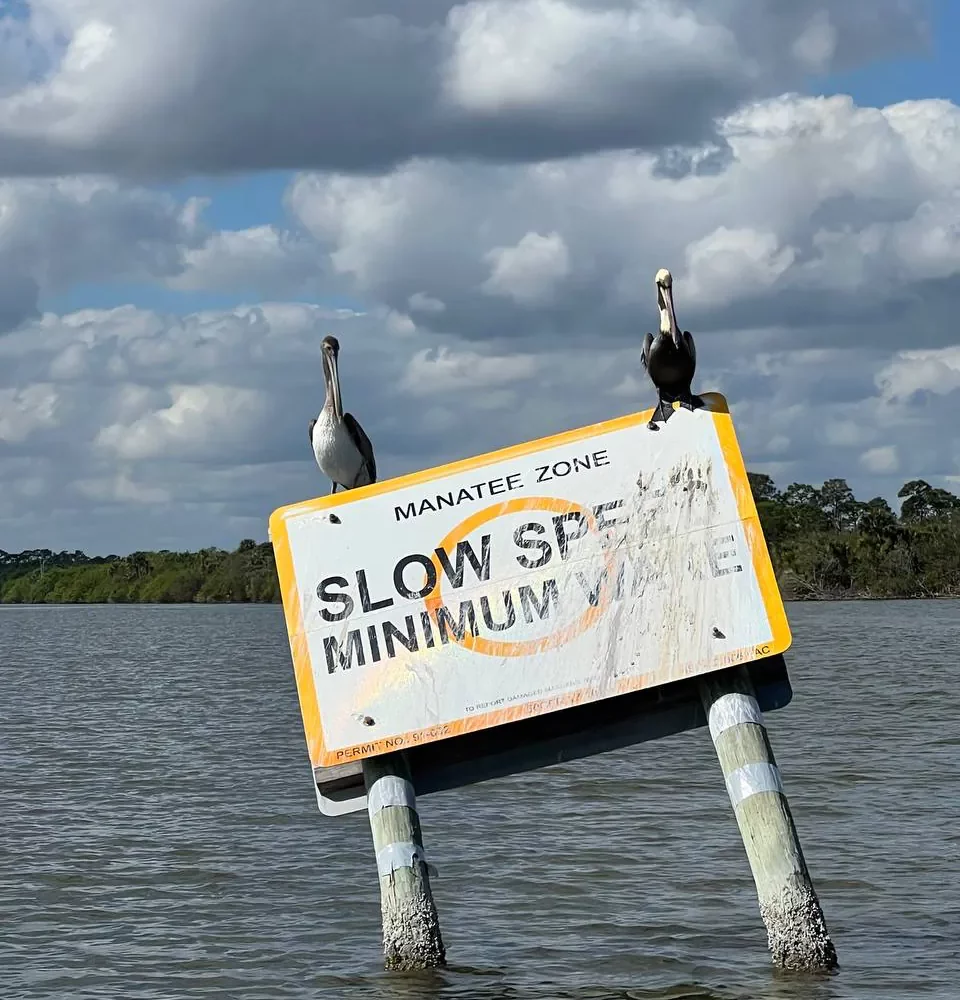 11photo 2023 03 07 17 13 51