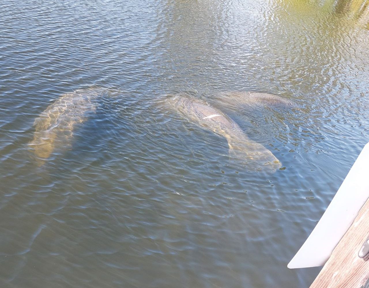 11photo 2023 07 16 11 25 10