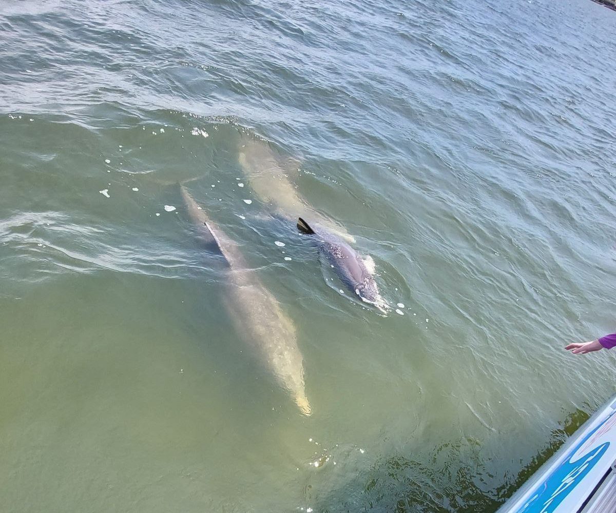 11photo 2023 07 16 11 27 33