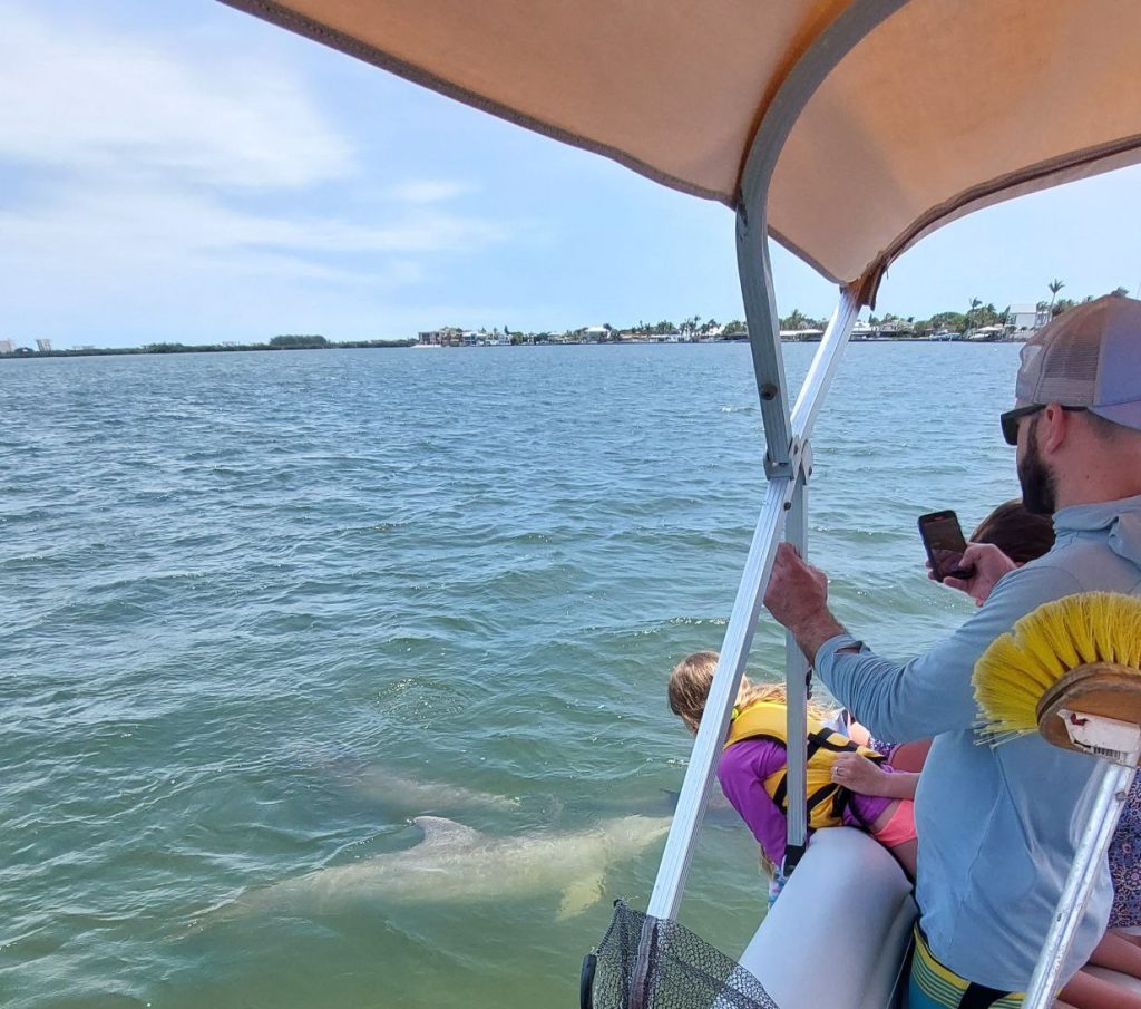 Dolphins swimming next to a small family tour boat in the Indian River Lagoon