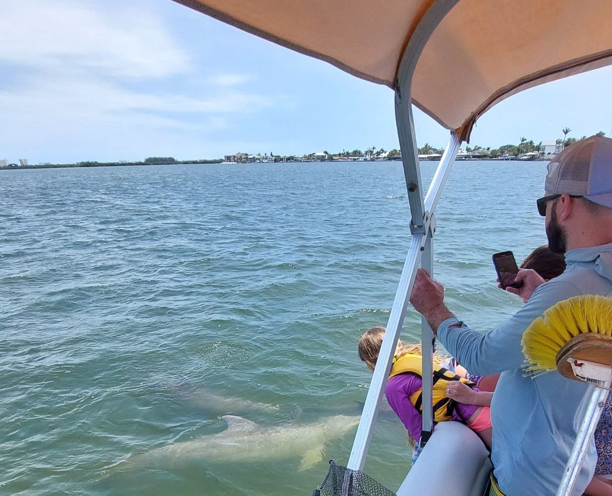 11Dolphins swimming next to a small family tour boat in the Indian River Lagoon
