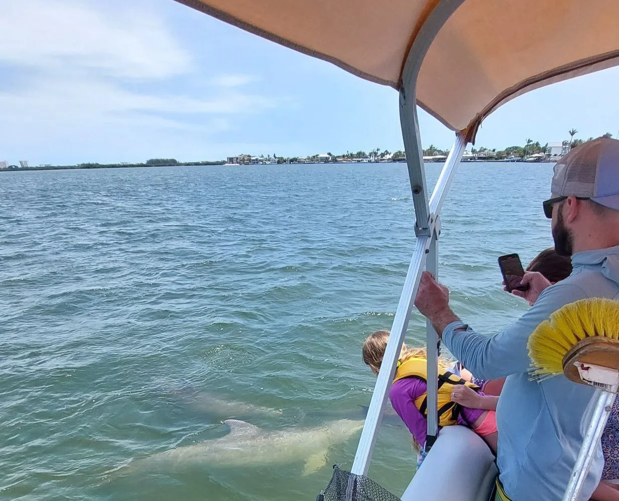 11Dolphins swimming next to a family tour boat near Orlando