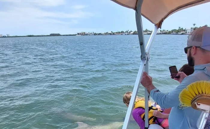Dolphins swimming next to a family tour boat near Orlando