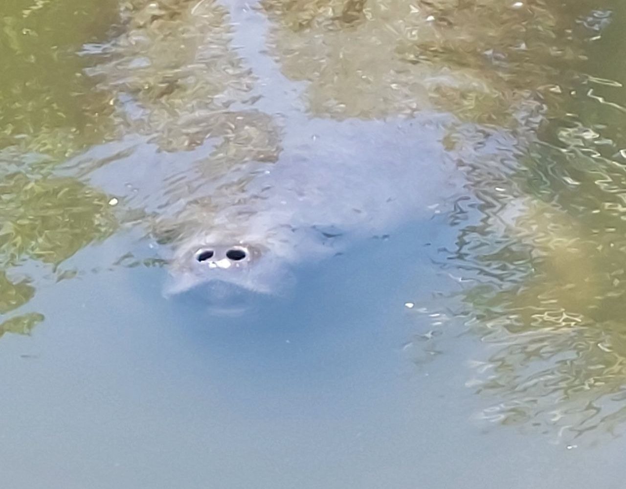 11photo 2023 07 16 11 30 01