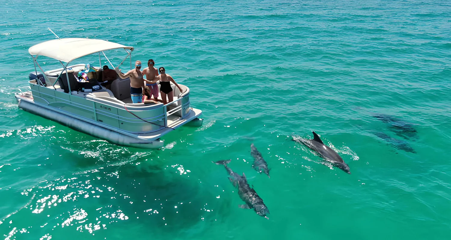Thousand Islands Wildlife Adventure Tour: Look at the Dolphins