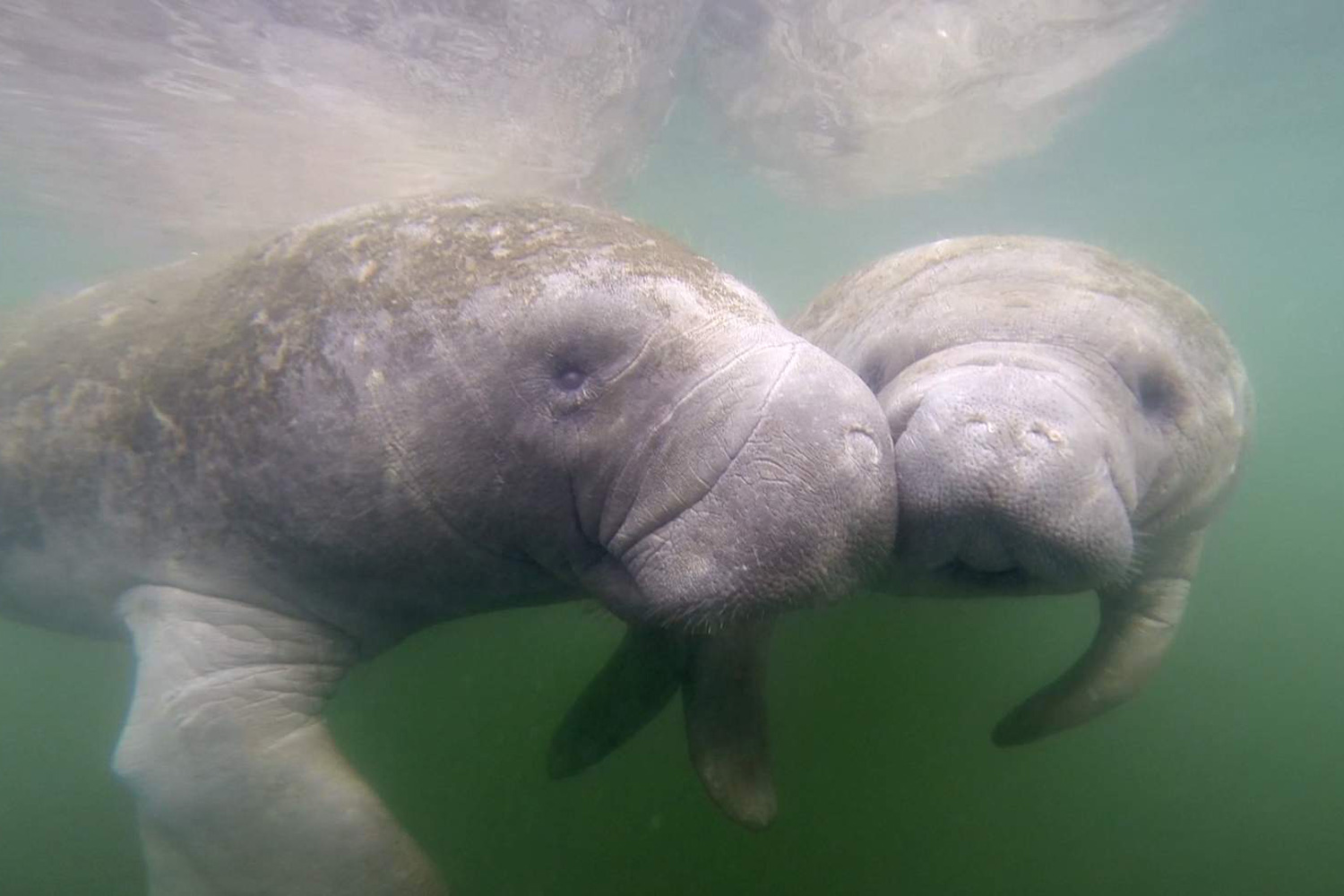 11How to keep Thousand Islands Conservation Area clean?