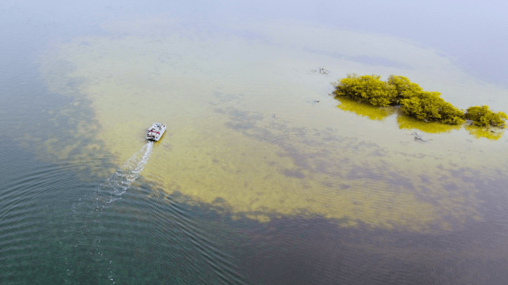 Cocoa Beach - Boat tour