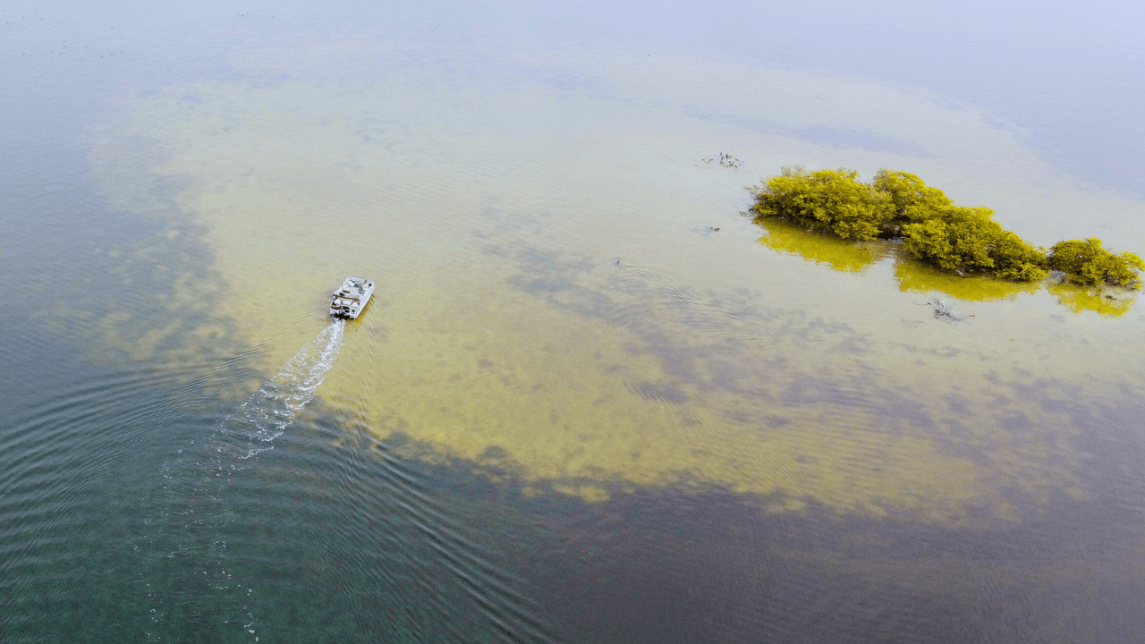 11cruise like a pro (16)