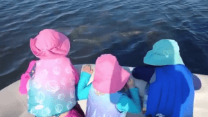 11cruise like a pro (17)