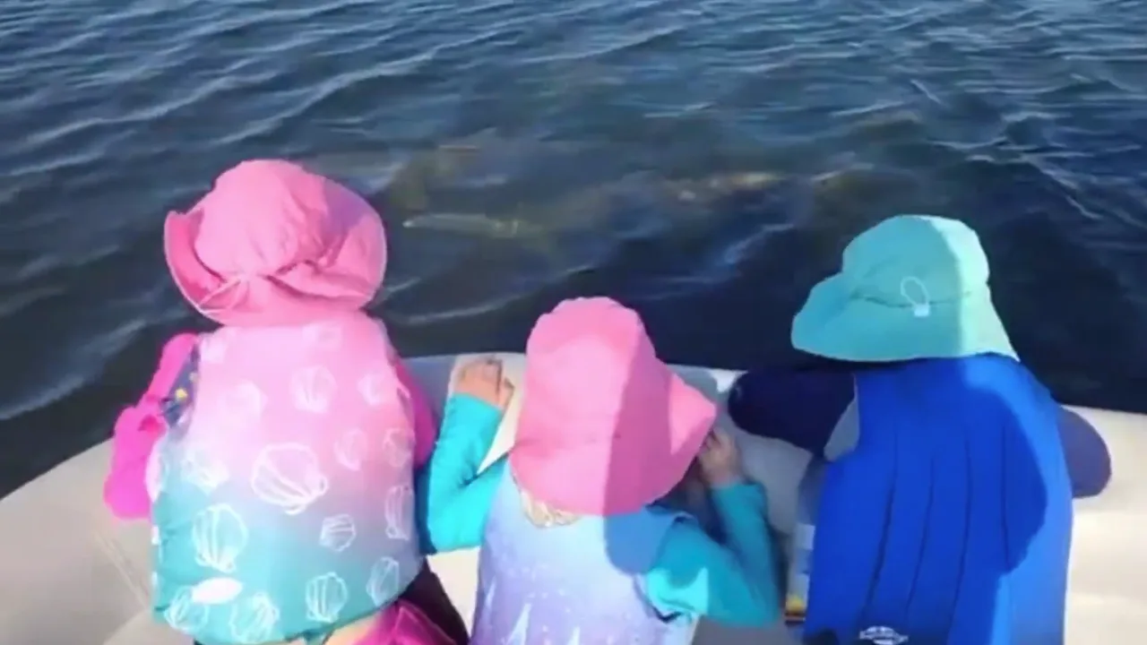 11Kids watching dolphins on a Dolphin & Manatee tour near Cocoa Beach