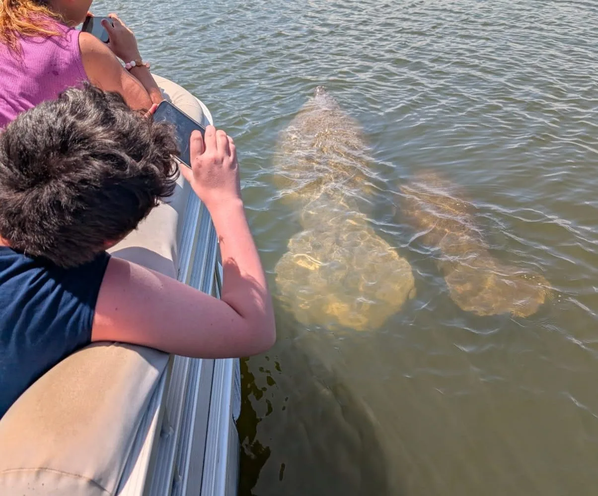 11Family dolphin tour near Orlando on a small boat