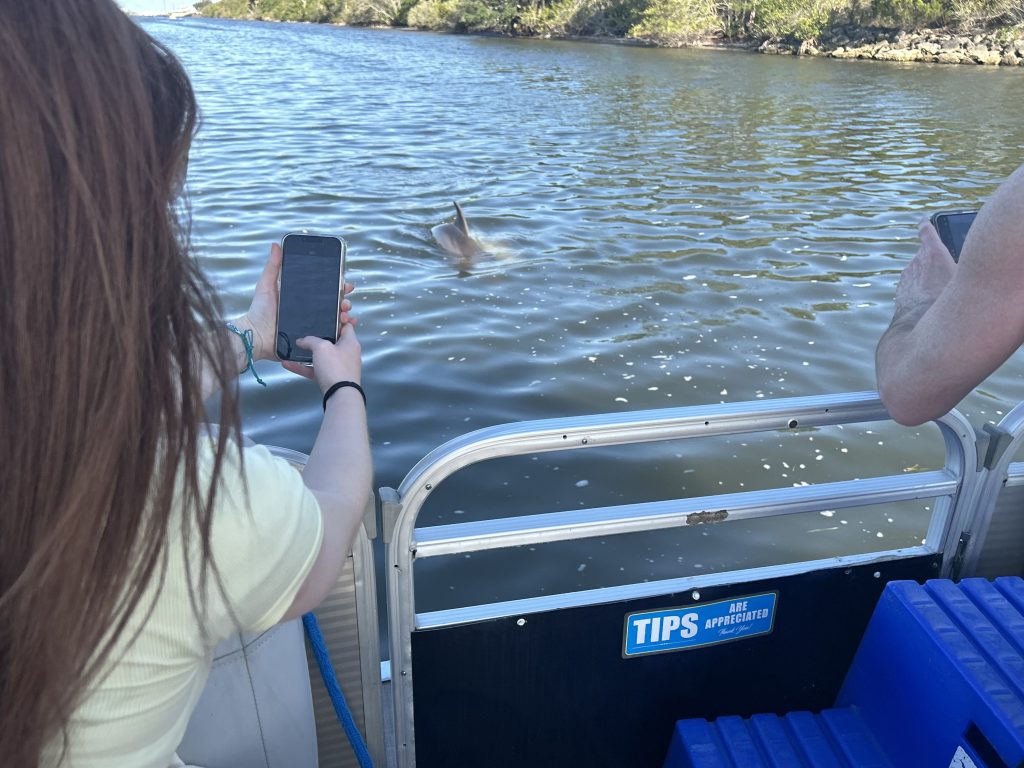 kids watching dolphins on a dolphin tour near Cocoa Beach