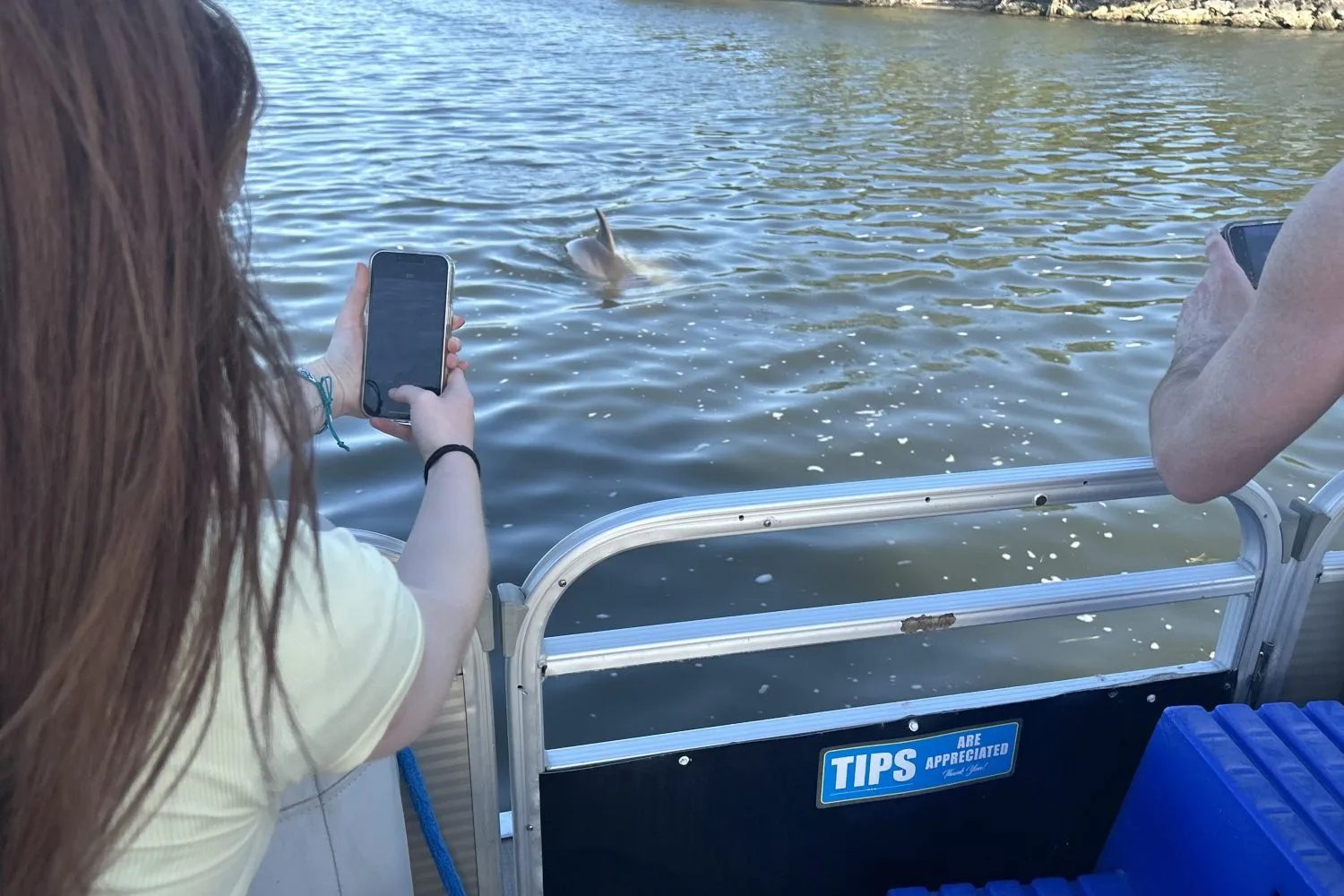 11kids watching dolphins on a dolphin tour near cape canaveral