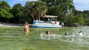 swimming in a dolphin & manatee lagoon cocoa beach